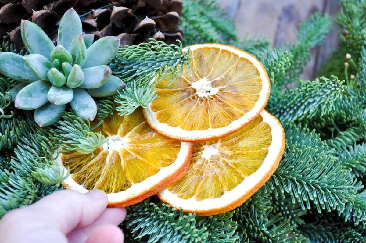 Fresh Wreath with Dried Citrus, Whole Nuts and Succulents