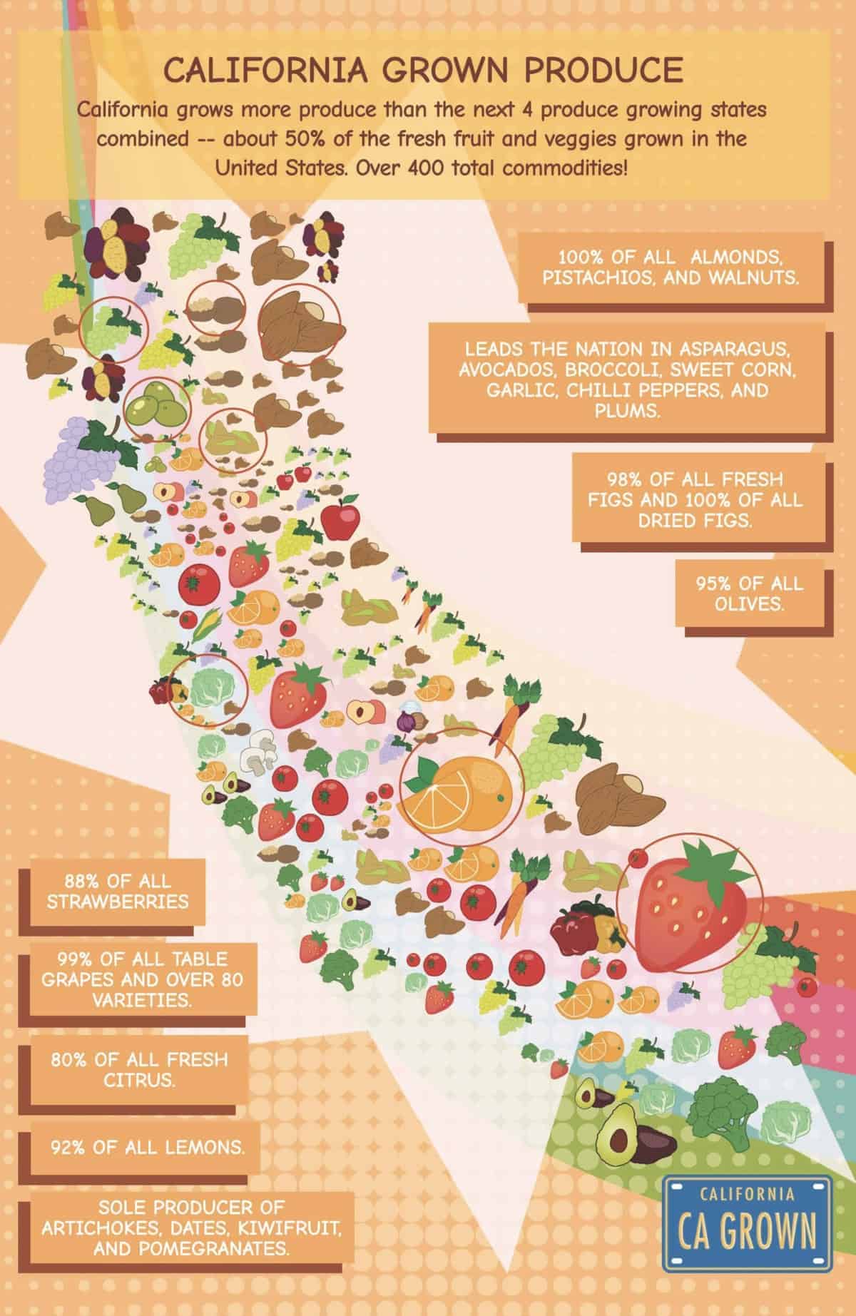 Food facts from Spooniverse comic cookbook
