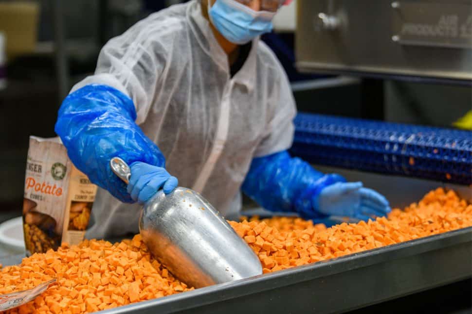 How Farmers Grow Sweet Potatoes in California California Grown