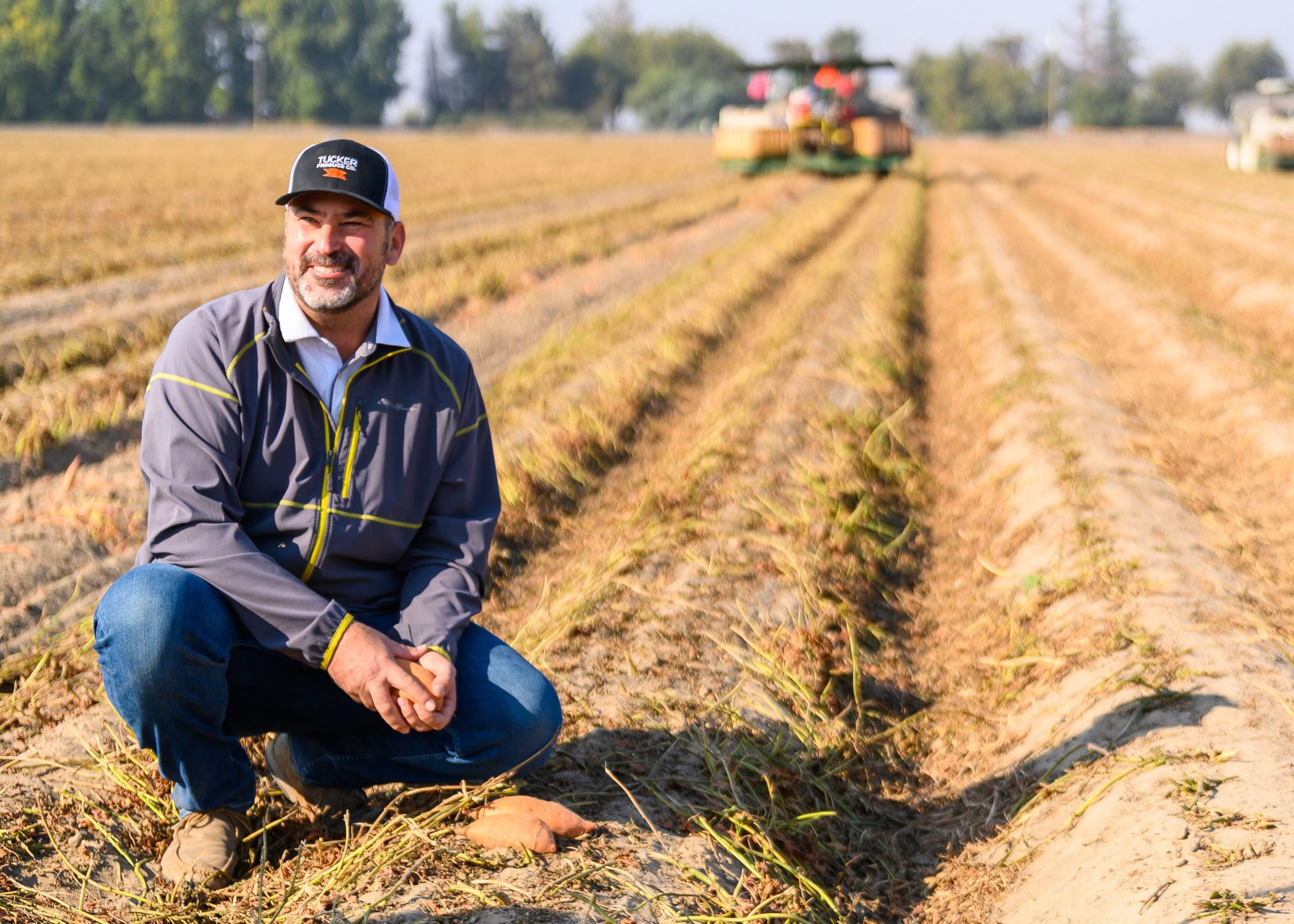 Jason Tucker, sweetpotato farmer