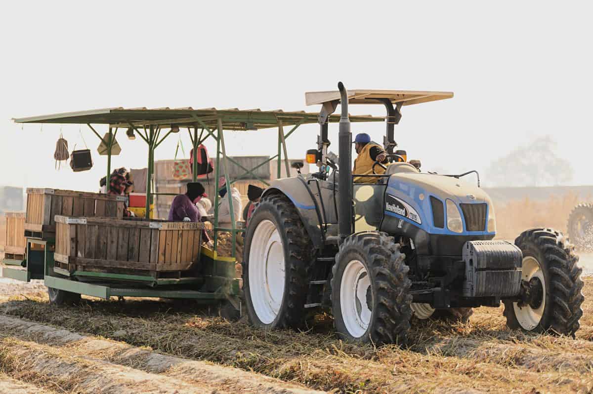 harvester in the field