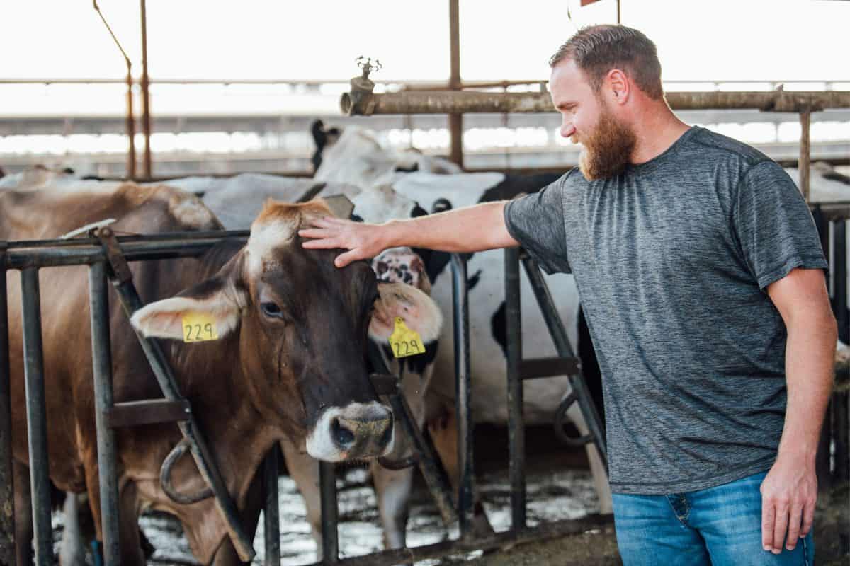 Brian Fiscalini in the dairy