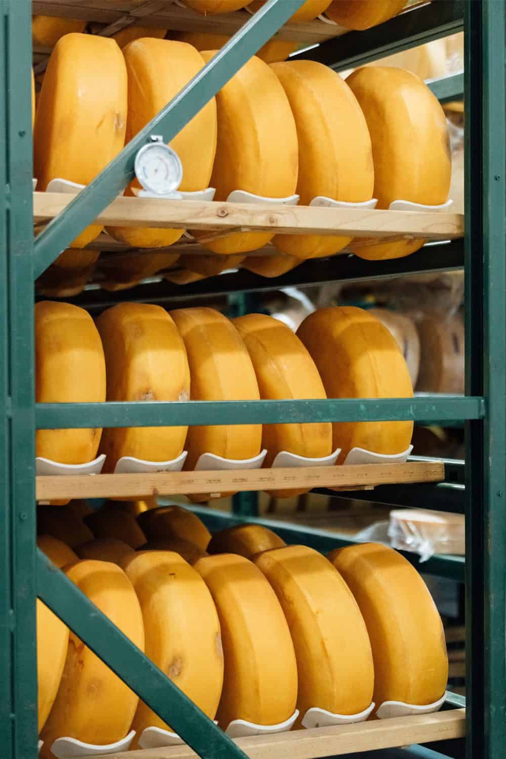 Cheese in aging room