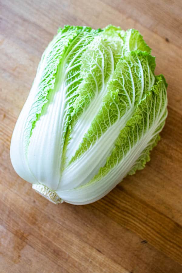 A head of fresh Napa cabbage.