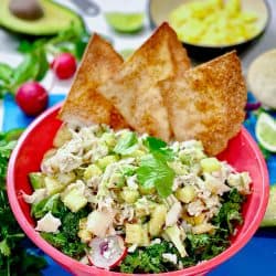 Tropical Chicken Tostada Salad in a bowl garnished with flour tortilla chips