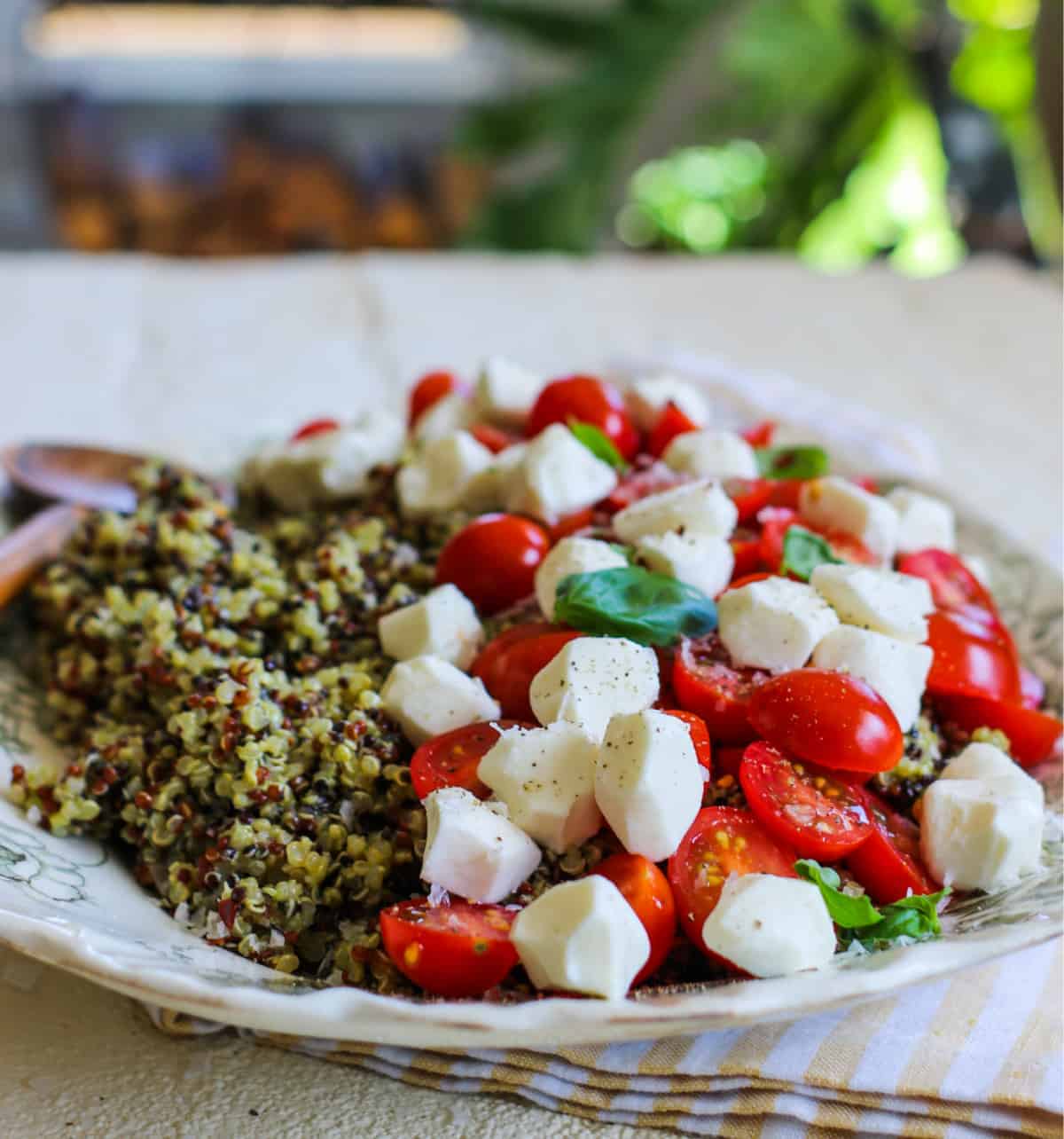 quinoa salad with pesto and tomotoes