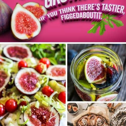 Gettin’ figgy with it! Our favorite dried & fresh fig recipes.