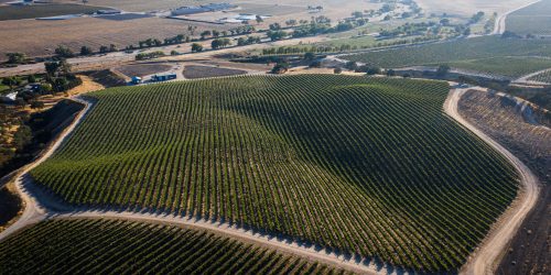 The Heart & Soul of California Wine Country – Paso Robles
