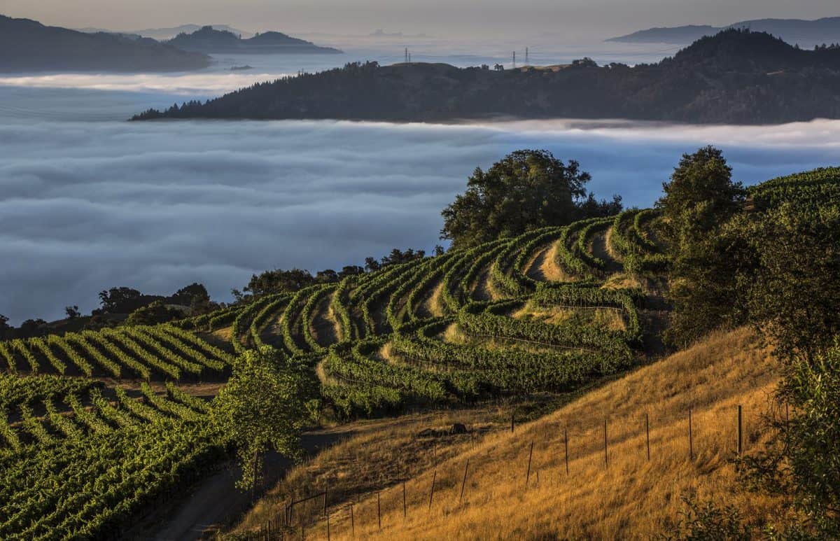 Alexander Mountain Estate - Sonoma County