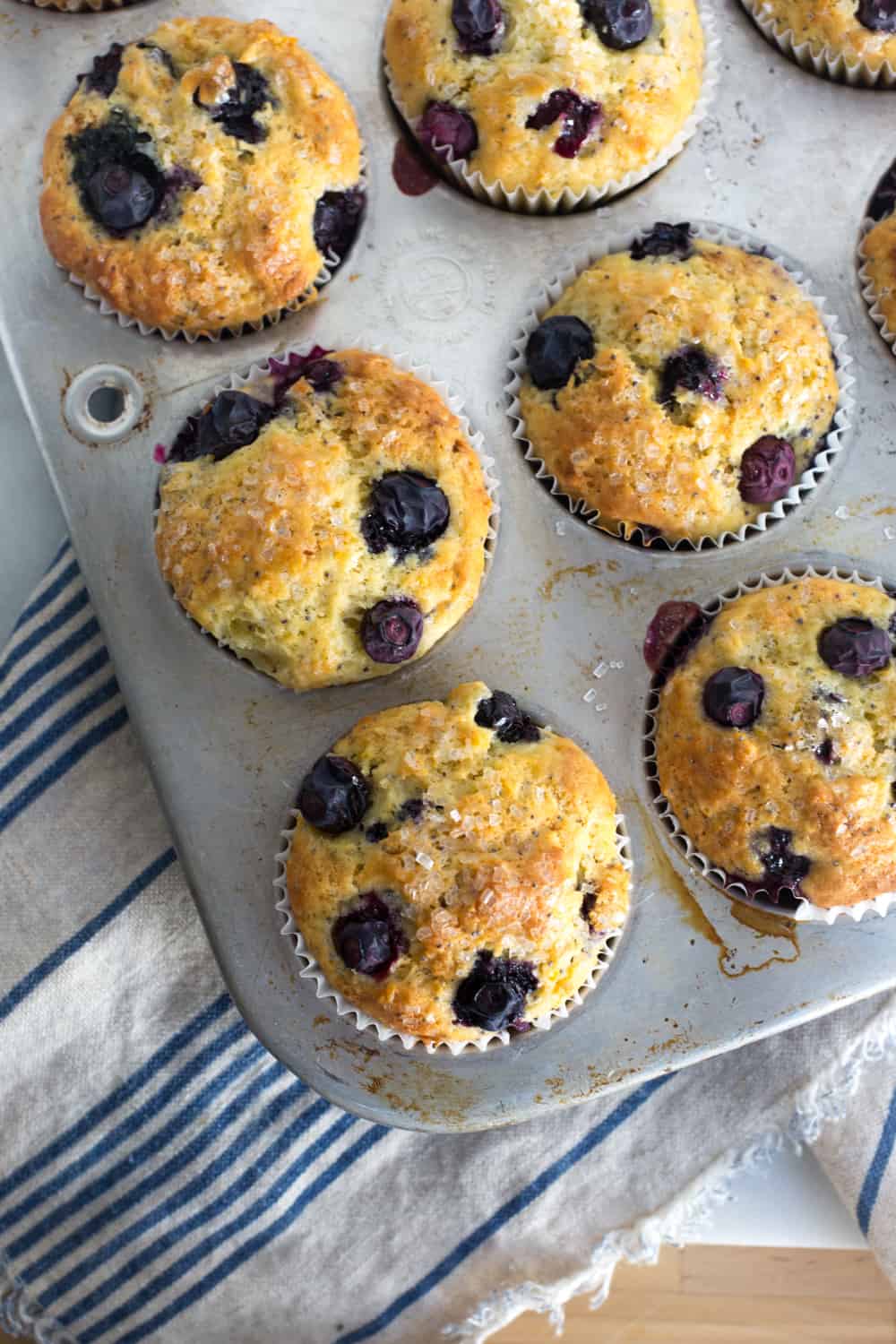 Blueberry Lemon Poppy Seed Muffins