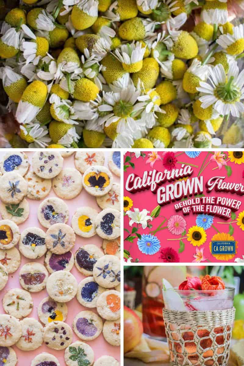 Grow your own Edible Flowers • Cut and Dried Flower Farm