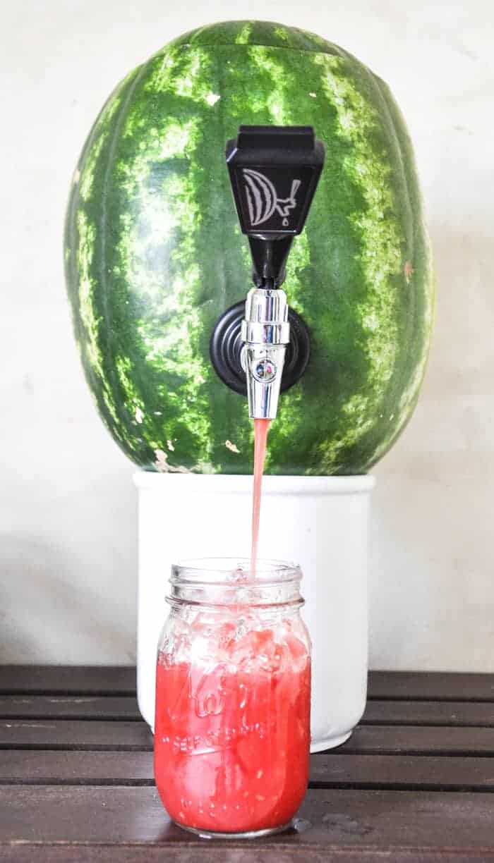 Homemade Watermelon Juice - The Fig Jar