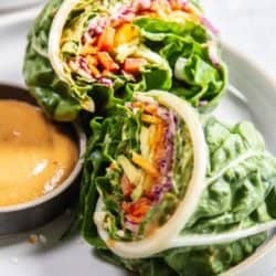 Rainbow Vegetable Wraps