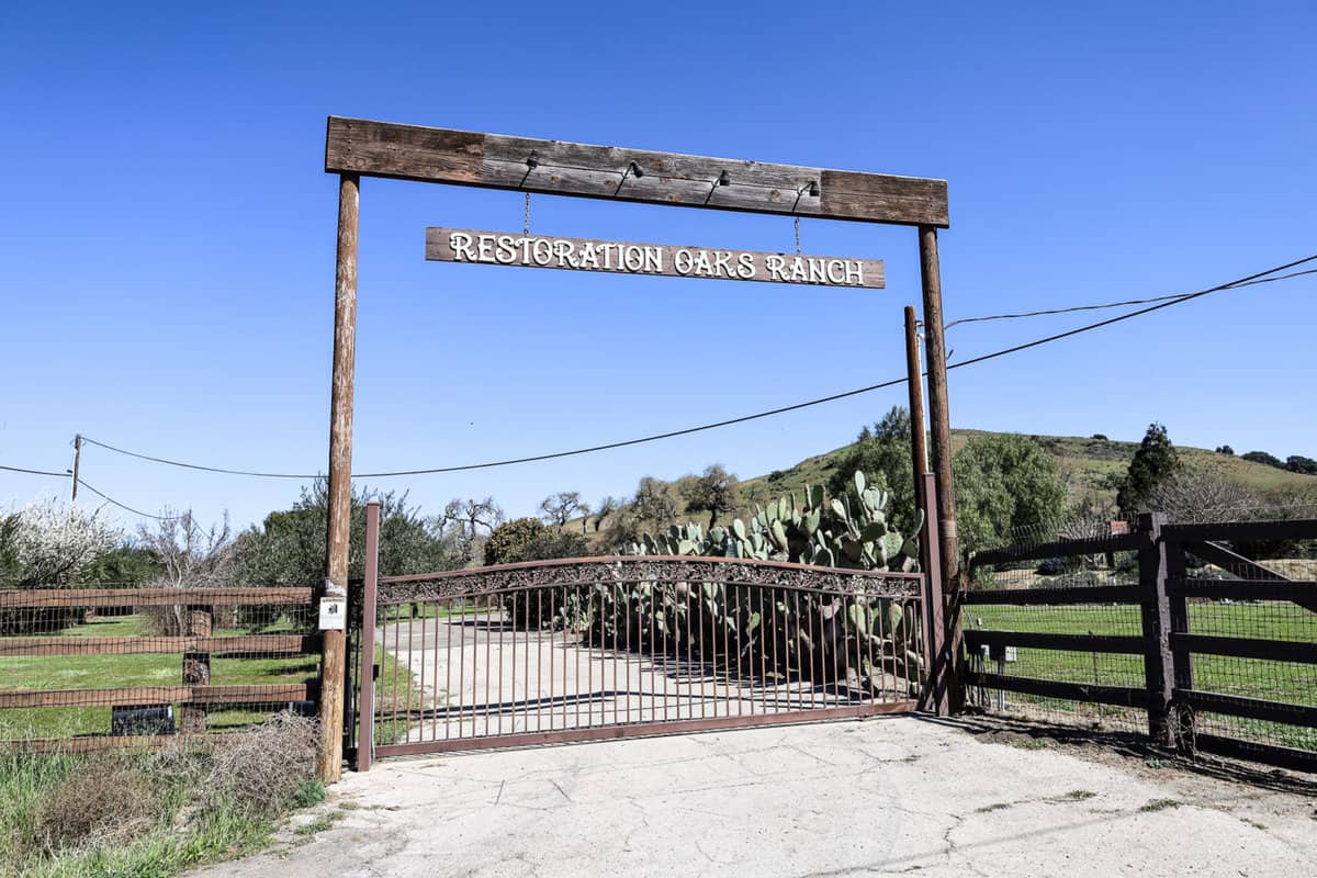Ed Seaman | Restoration Oaks Ranch