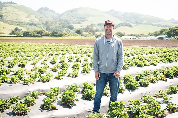 organic farmer Joe Schirmer | Dirty Girl in his strawberry fields