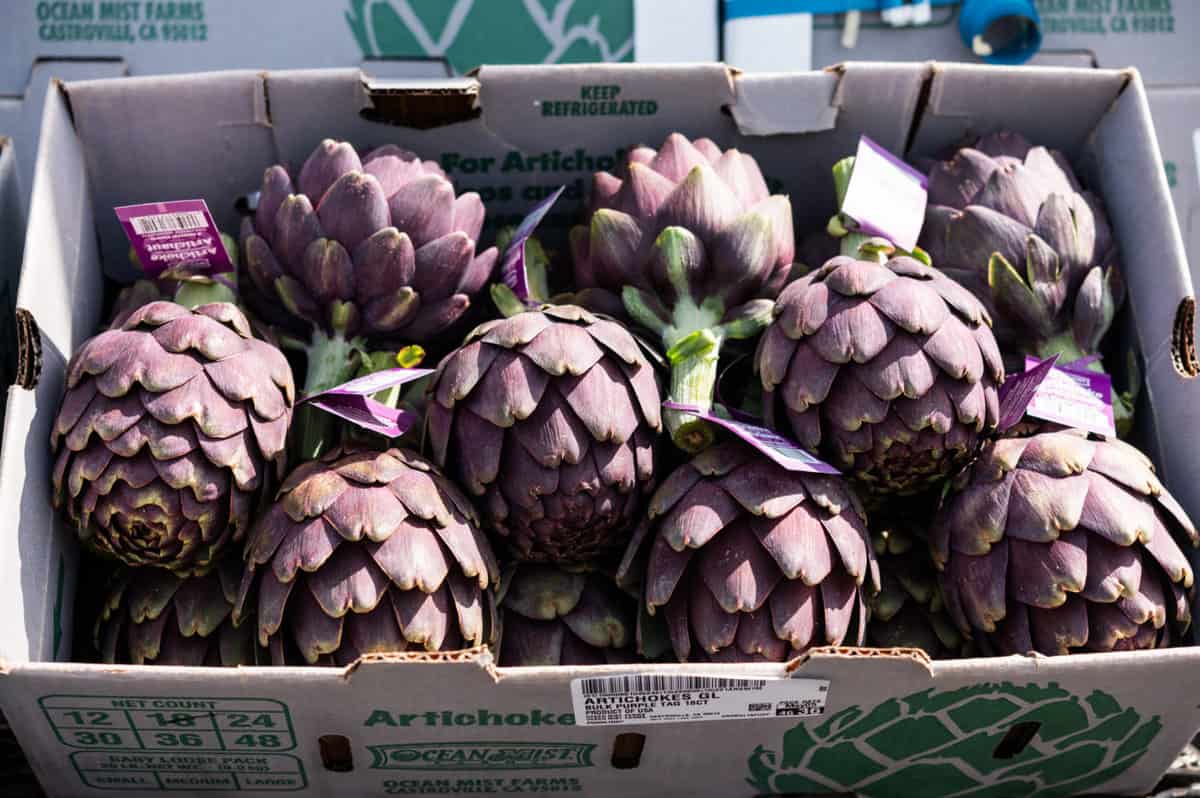 Box of Ocean Mist artichokes