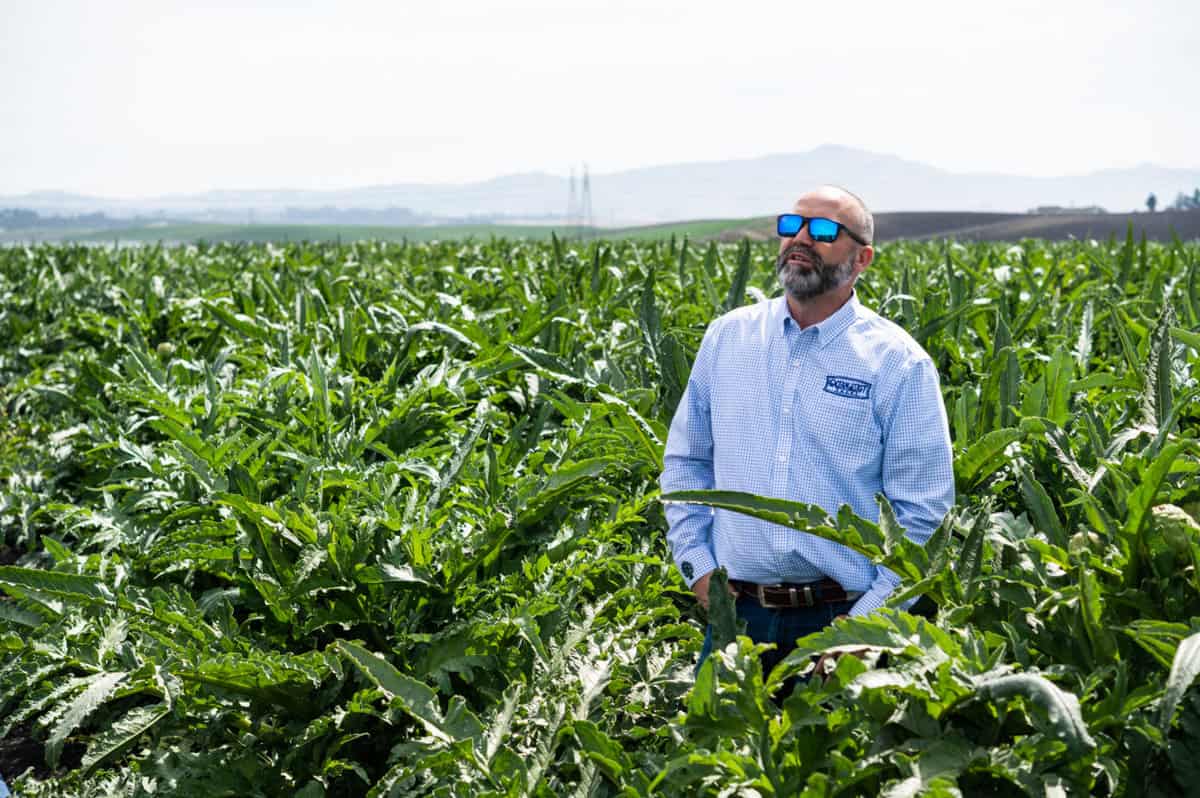 Bobby Bellow, Director of Farming at Ccean Mist Farms in CA, standing in a field in Castoville, CA
