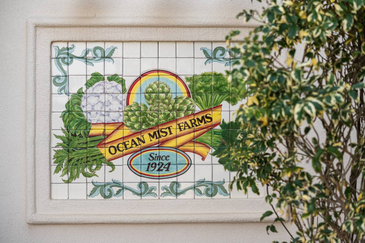 How are artichokes grown? Ocean Mist Farms Sign in Castroville, CA