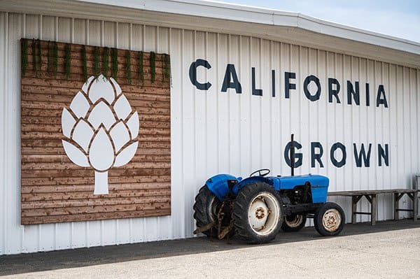 Celebrate The Best Of Artichoke Season At Pezzini Farms!