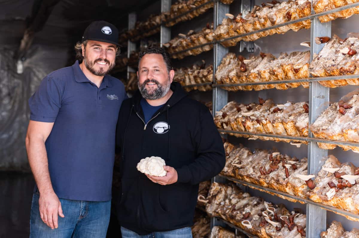 Learn How Mushrooms Are Grown at Far West Fungi California Grown