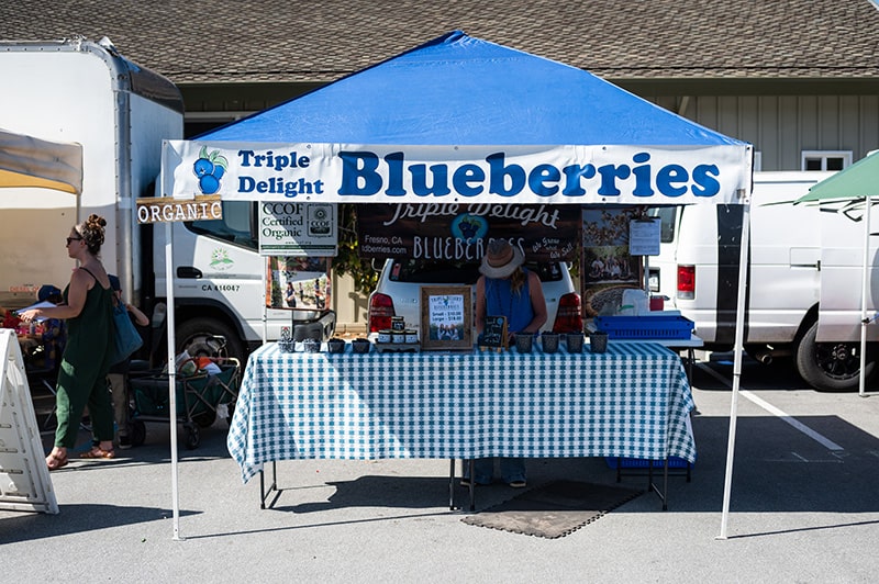 Blueberry booth at farmers market