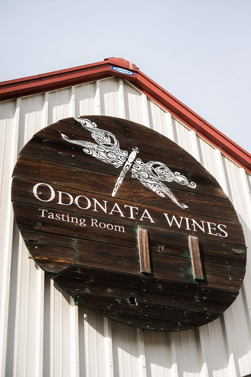 Odonata Winery; A Great Place to Taste Wine in Salinas