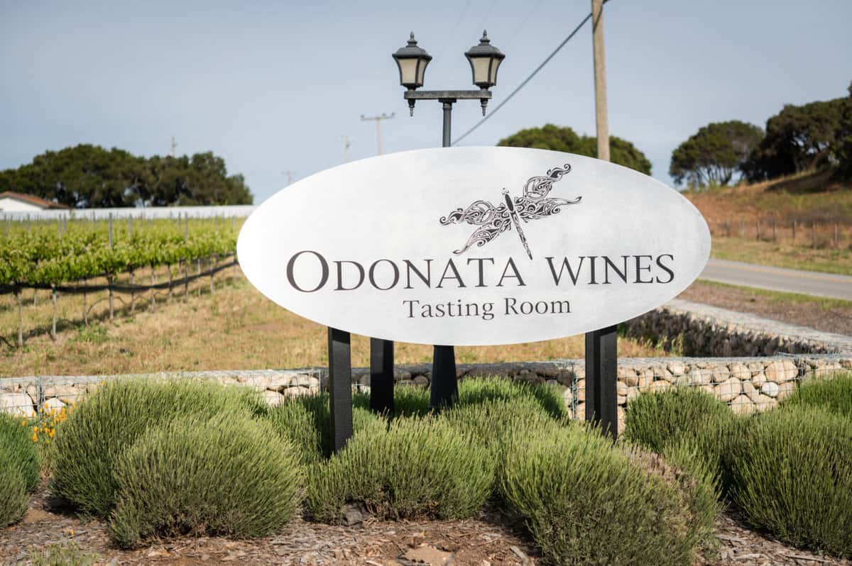 Where to taste wine near Monterey