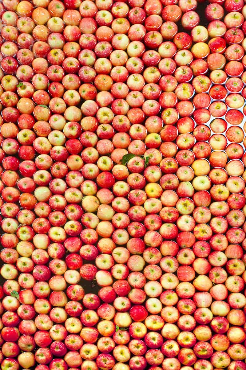 Apples in a water bath about to be packed.