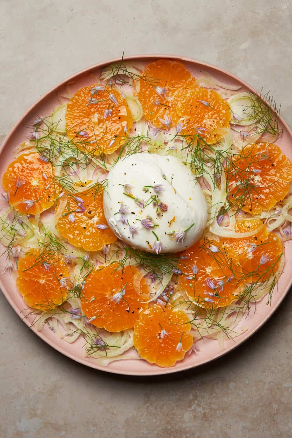 Vy Tran_Mandarin, Fennel, Burrata Salad