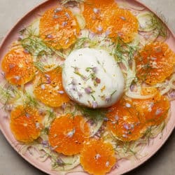 Vy Tran_Mandarin, Fennel, Burrata Salad