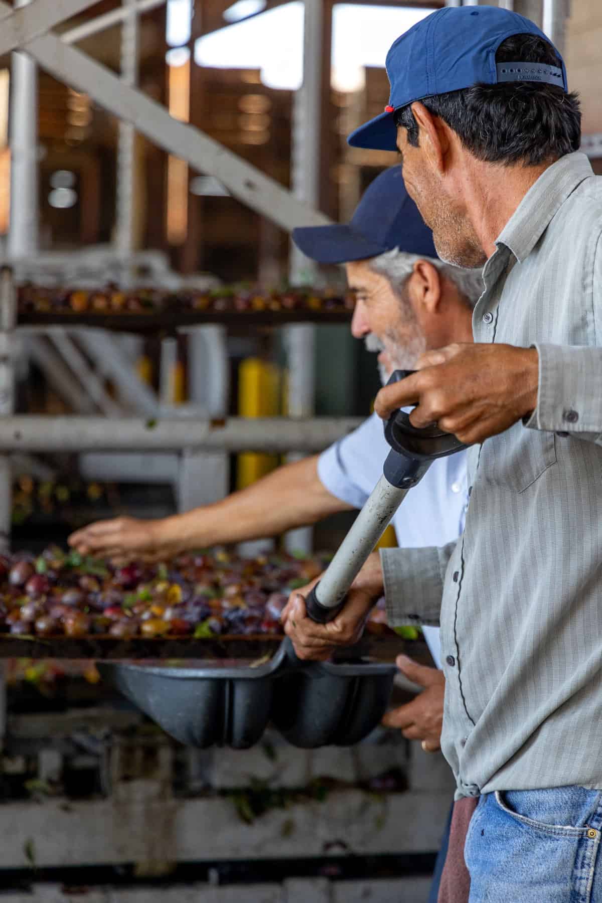 Pictured: Fidel Morales is Mariani's Plant #2 Supervisor.