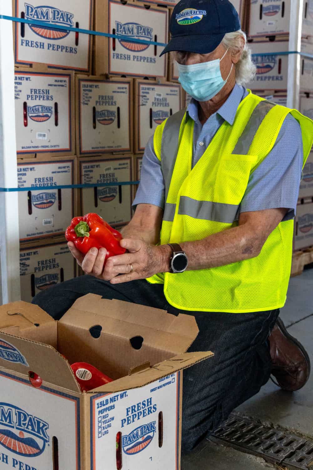 Tim baloian looking at a red bell pepper. Baloian Farms uses all recyclable boxes