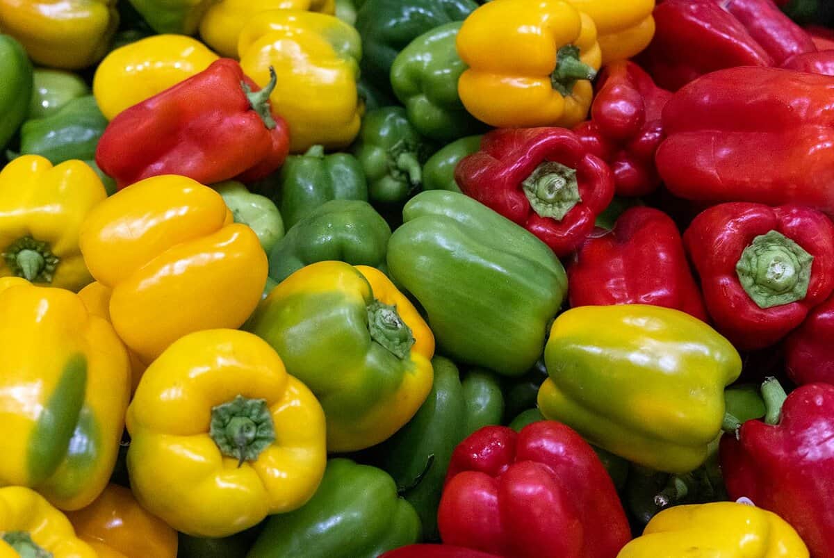 How Bell Peppers Grow in California California Grown