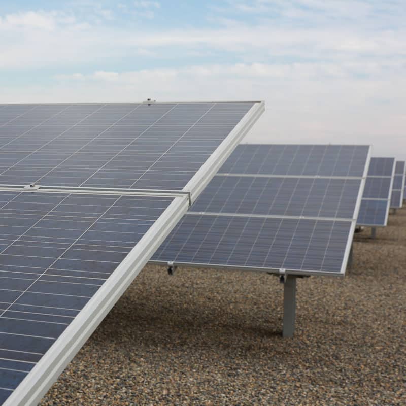 Solar Farm installed at Fowler Packing