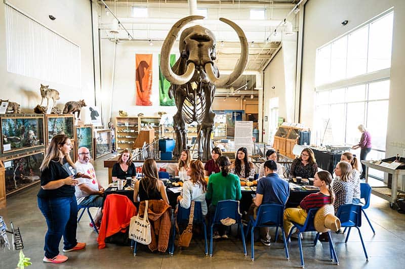 A table of people dining under a wooly mammoth fossil.