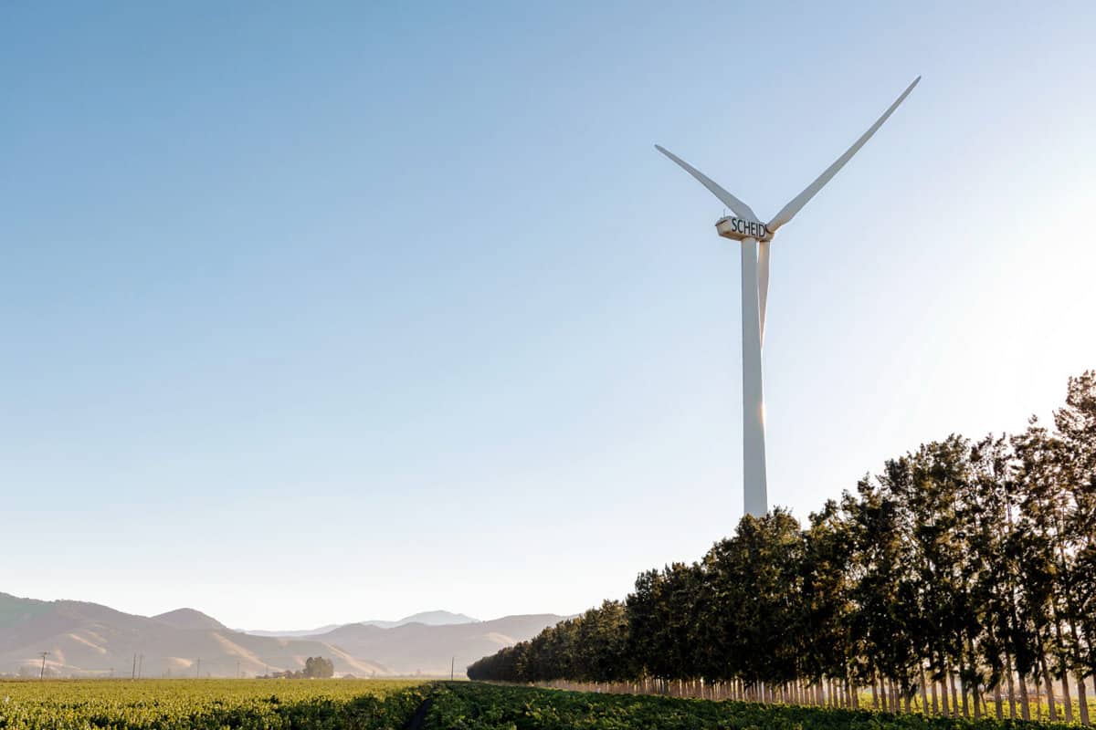 windmills at Scheid create enough energy to power the operation