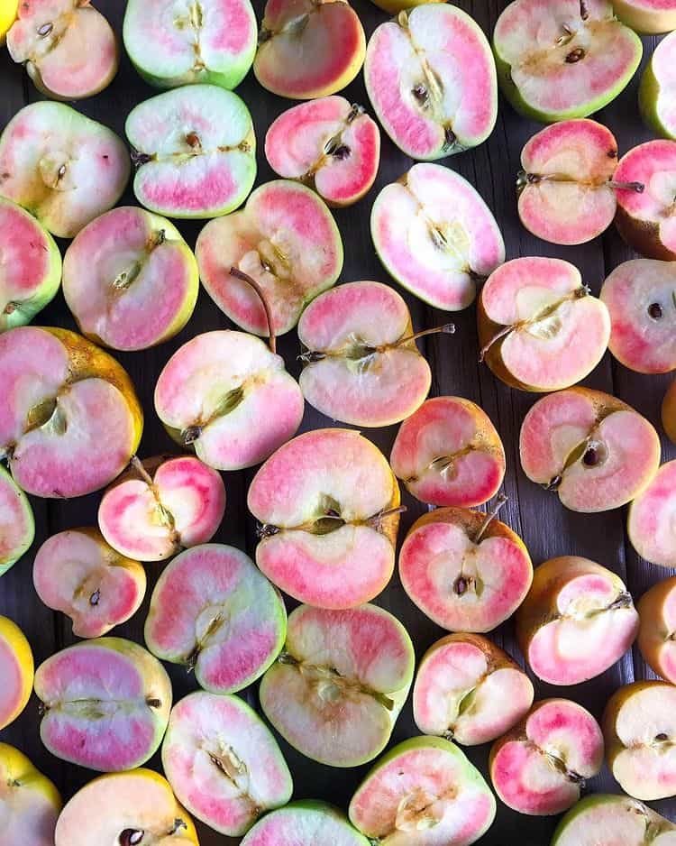Pink apples cut open | Aliza Sokolow