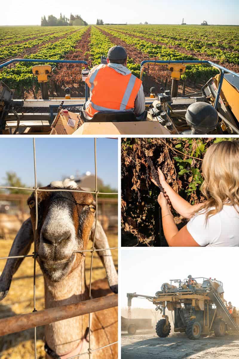 Oklahoma Ag In The Classroom