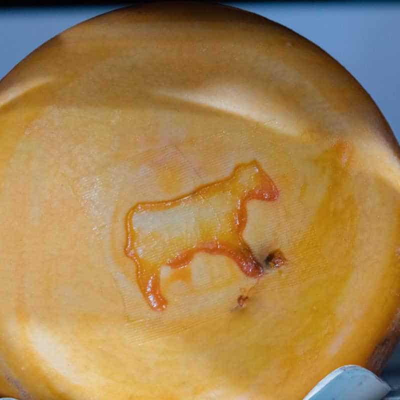 How Cheese is Made in California