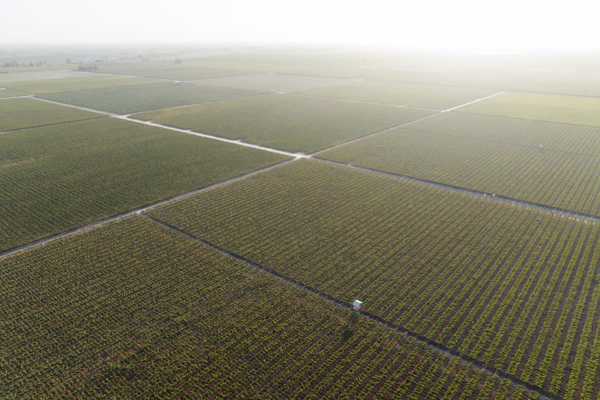 aerial view of san joaquin valley farmland in central california