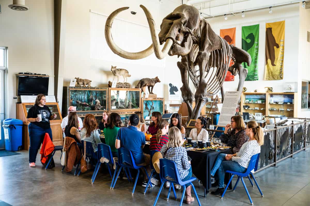 13 foot tall replica of a mammoth at the fossil discovery center in madera, ca