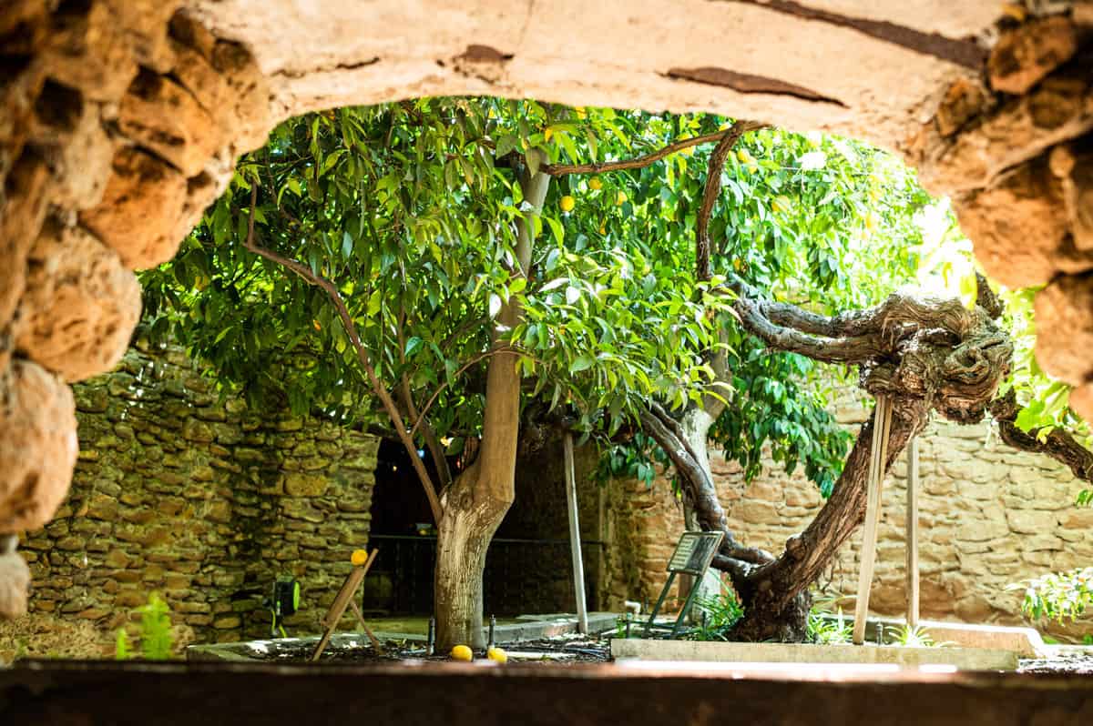 Forestiere Underground Gardens