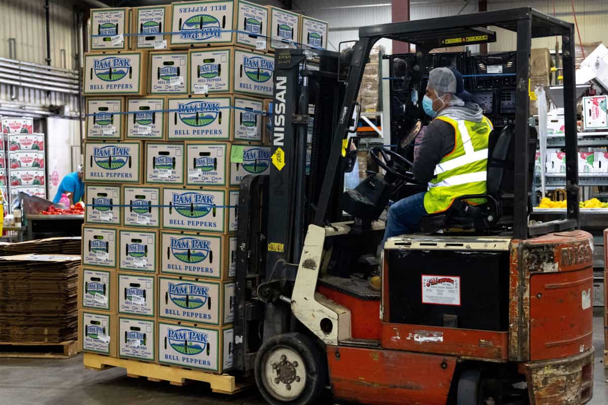 Boxes of peppers at baloian farms