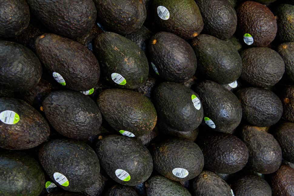 How Avocados are Grown - California Grown