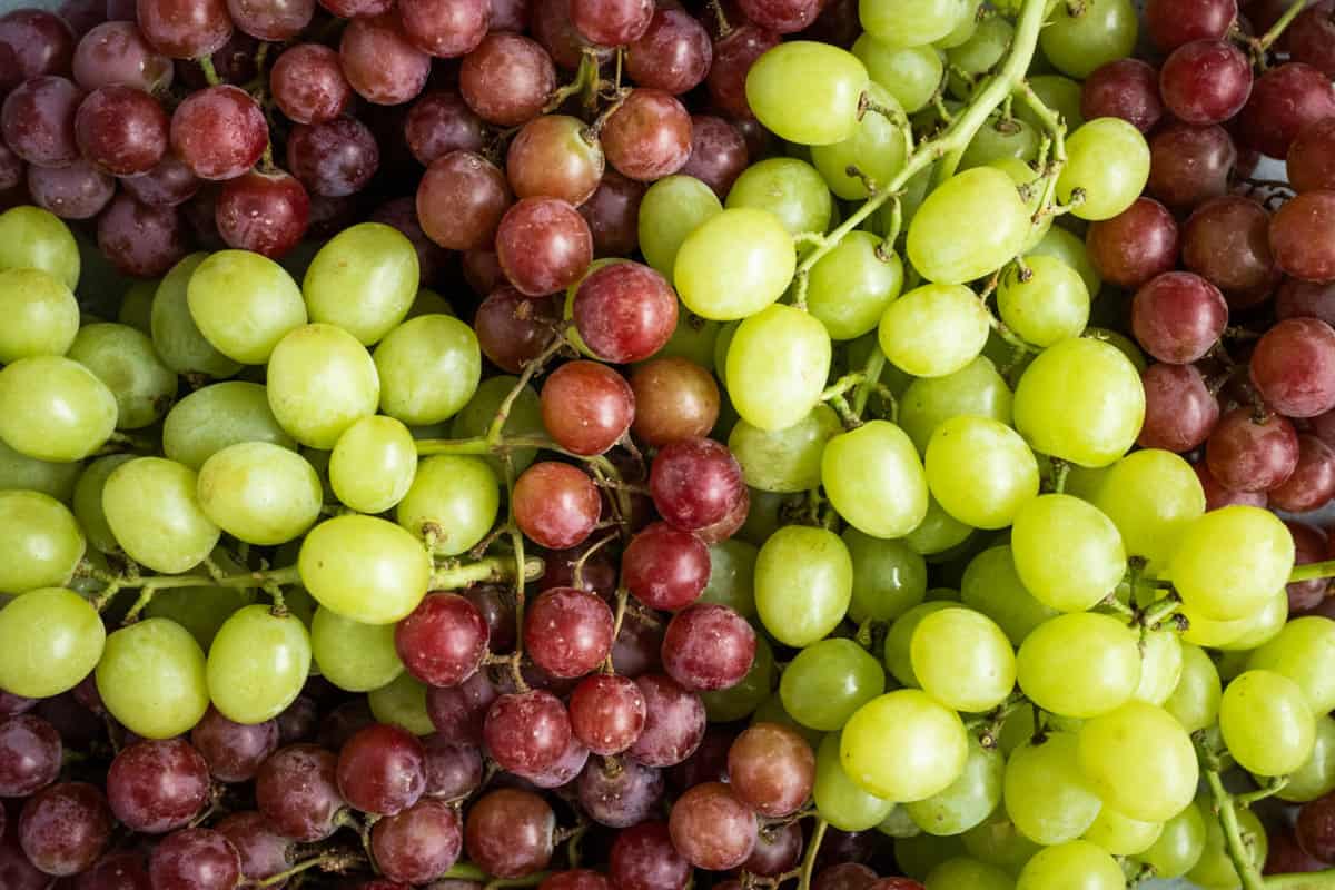 fresh grapes | table grapes | grape bunch