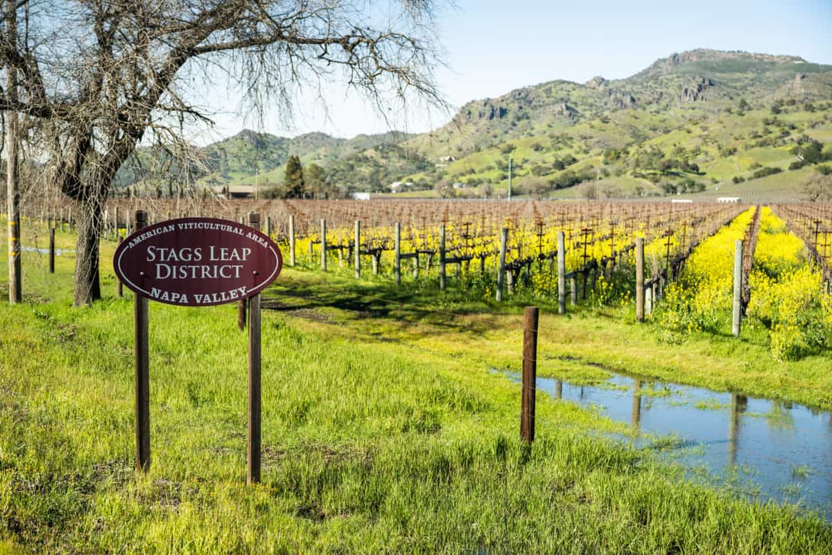 Stags Leap District in Napa Valley, CA