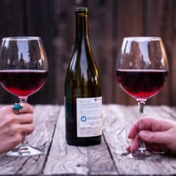 Two people holding glasses of sustainable California wine