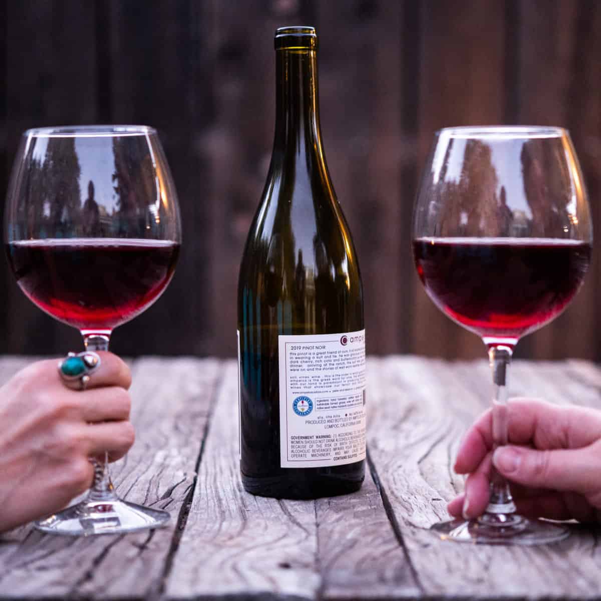 two people holding a glass of sustainable California wine