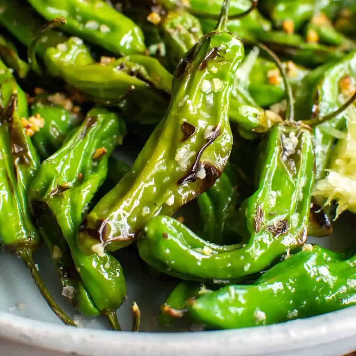 Blistered Garlicky Shishito Peppers from Hola Jalapeno