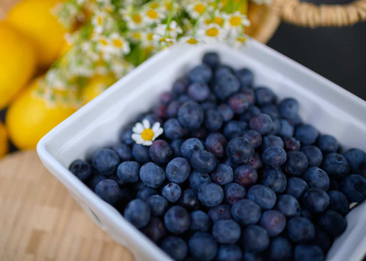 dish of California blueberries